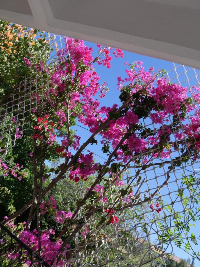 Helios-Rhodos-Apartments Koskinou  外观 照片